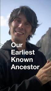 This could be our earliest known ancestor!