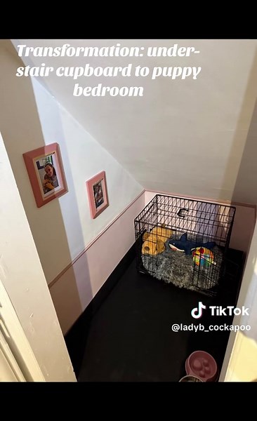 Transforming the unused under stairs cupboard into a bedroom for our puppy #fyp #cockapoo #puppy #renovation