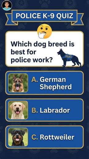 🐕‍🦺 Which Dog Breed Is Best for Police Work? | K9 Quiz #Shorts