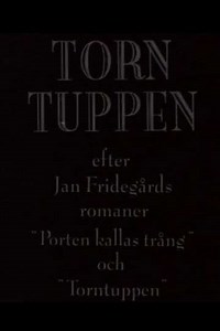 Torntuppen (1996) - TV Show