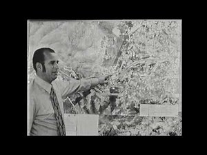 South Eastern Freeway in the 60s