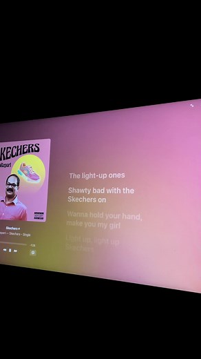 Skechers: The Drip Report Lyrics Unveiled