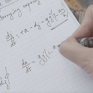 Analyzing Patterns in the Savanna Landscape