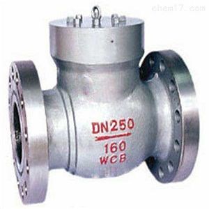 [Hot Item] Heavy-Duty PVC Non-Return Valve for Efficient Water Flow Control