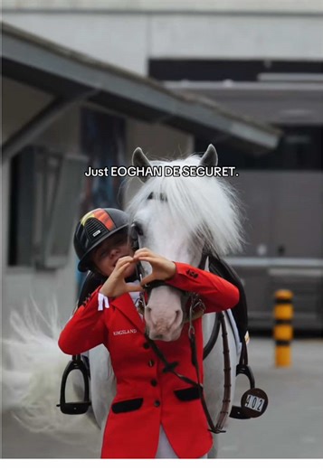 Pony for Sale: Exceptional Equine Opportunity