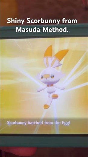 Shiny scorbunny!!! So Happy. #shinyhuntingpokemon #pokemonswordshield #scorbunny #pokemongames