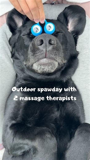 SOUND ON 🔊 Spawday on a rainy Sunday with a surprise favorite massage therapists 😇 and the therapist accidentally used my modesty towel🤣🤣 Check out my own spawbrand @heyspawday 💜 (Ad for my own brand) | Elvisbatzthelab