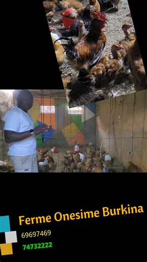 1.5K views · 25 reactions | Connaissez vous le Sasso Royal Roux ? Ne...