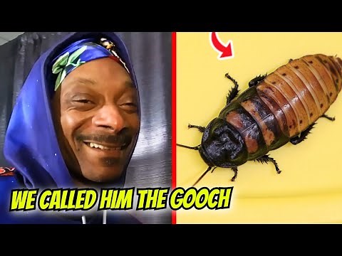 Snoop Dogg Had A Pet Cockroach He Named The GOOCH