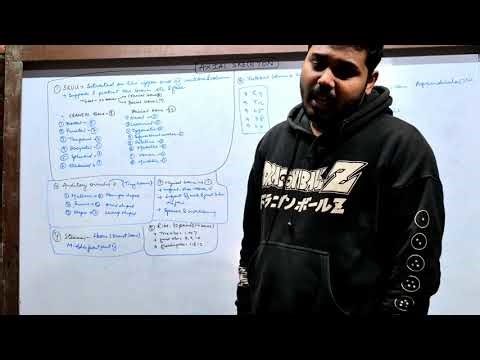 Skeletal System part 2 (Axial skeleton )