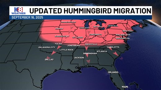 44K views · 332 reactions | The annual fall hummingbird migration continues to push south! Make sure you have your feeders ready! We will update you next week on the migration. | Ryan Vaughan | Facebook