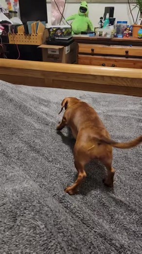 #marshmallow #thatwasscary #igotit