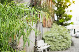 Meteo Dommartin (25300) - Doubs : Prévisions Meteo GRATUITE à 15 jours - La Chaîne Météo