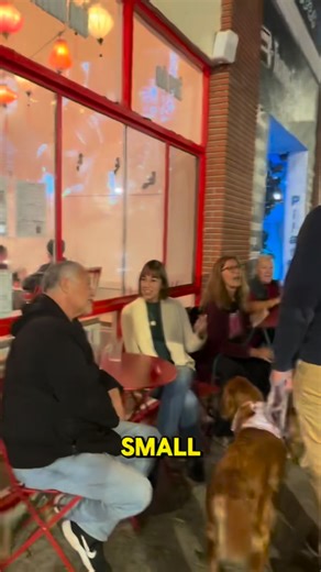 🇻🇳✨ Welcome to Saigon Ơi Café San Pedro, meet your new cozy corner for authentic Vietnamese flavors, slow-drip phin coffee, and warm family hospitality. ❤️ Run by a local family with deep roots in the South Bay, Saigon Ơi Café blends heritage, creativity, and community—serving dishes made from scratch, without MSG, and filled with the stories that shaped their journey. They’re still settling in and growing their menu, but every cup and every dish already feels like home. Stop by, say hello, an