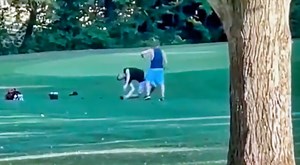 Two Best Friends Duke It Out On The Golf Course As Fight Ends With Brutal Knockout (VIDEO)