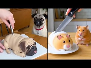 NEW Funny Pet Reactions to Cutting Pet-Shaped Cake! 🐶🐱