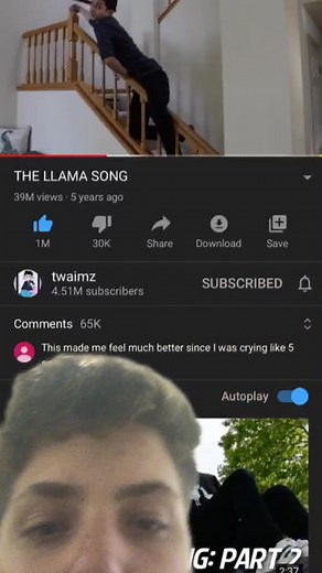 Llama Song by Twaimz: Happy Llama, Sad Llama, Super Llama & More!