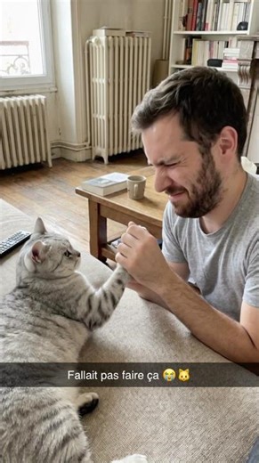 Le chat ne supporte pas ça 😭🐱 #fyp #humour #viral #chat #reels