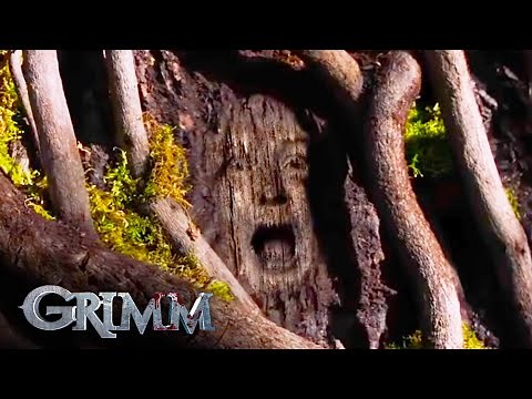 Grimm Finds The Monster Tree | Grimm