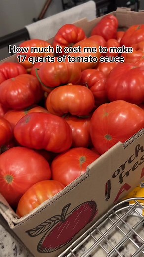 Cara Jones on TikTok