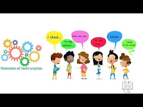 Theories of Tooth Eruption