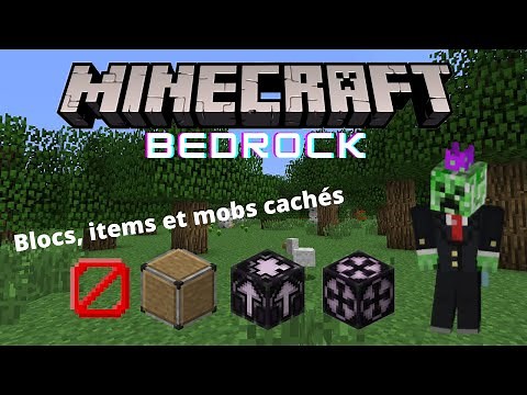 LES BLOCS, ITEMS ET MOBS CACHES MINECRAFT BEDROCK (1.16.220)