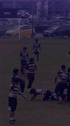 Thank You Chameleon: A Heartfelt Tribute