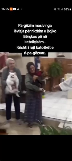 Baci (@albin2400)’s videos with original sound - Baci