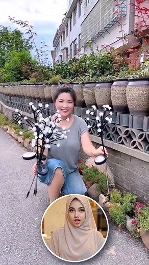 1M views · 9.5K reactions | Automatic Solar Garden Light | Authentic Gadget Bd | Facebook
