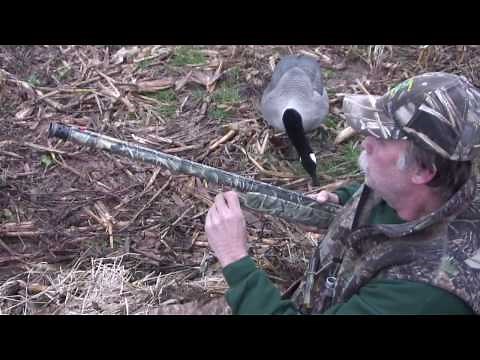 Eating Canada geese: a delicious solution to New Jersey's goose problem