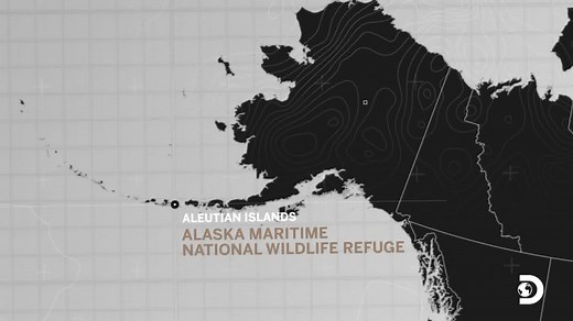 The Aleutian Islands are a rugged, wild network of islands between the Bering Sea and the Gulf of Alaska. Conservationist and nature photographer Ian Shive Photography takes us behind the scenes as he documents the rich wildlife that inhabits them. → Discovery.com/aleutianislands Follow Ian’s full adventure in #TheLastUnknown, streaming March 18 on #discoveryplus. #AleutianIslands #island #naturephotography #wildlife #conservation #natureinfocus | Discovery