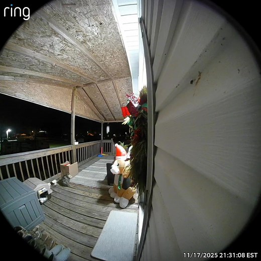 How to get rid of a Possum or a “blossom” according to Bristol? You almost kick your door down to get it to leave. Back story we had a stray cat show up and according to Bristol, we have adopted it. She named it Cherry. Cherry has cute food/water bowels and a nice little house on the porch. Expect tonight the “blossom” was enjoying it. Watch the video for your entertainment. 🤦🏻‍♀️🤣 | Shianne Robinson