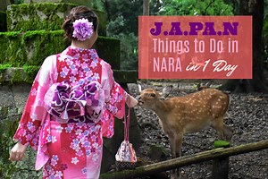 JAPAN: What to do in Nara in1 Day and How to Get There