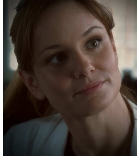 Sara Tancredi's Stunning Cheekbones in Prison Break