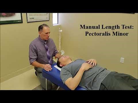 Pectoralis Minor Length Test