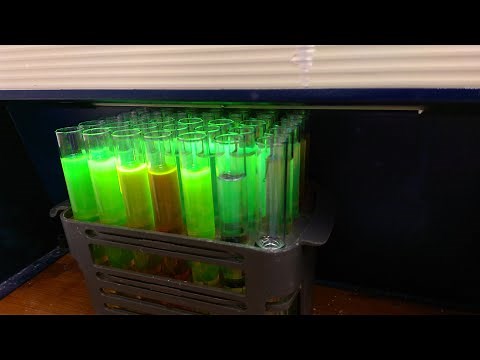 BODIPY chemistry: synthesis and properties