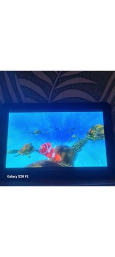 24 February 2026 finding Nemo turtle scene