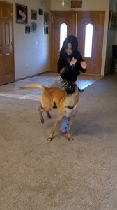 Flipping Monkey | Omar Von Muller