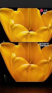 LG G5 VS SONY BRAVIA 8II OLED Ultimate Battle