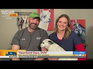 Heartland Docs, DVM