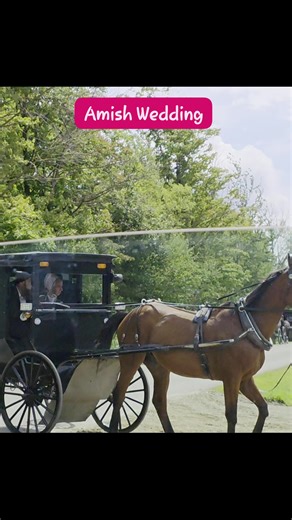 676K views · 9.1K reactions | Early in the morning Amish people all...