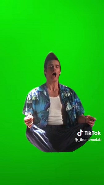 ALRIGHTY THEN I ACE VENTURA MEME | GREEN SCREEN TEMPLATE #greenscreentemplate #thememelab #funny #comedy #fyp #memes #aceventura #jimcarrey #movieclip