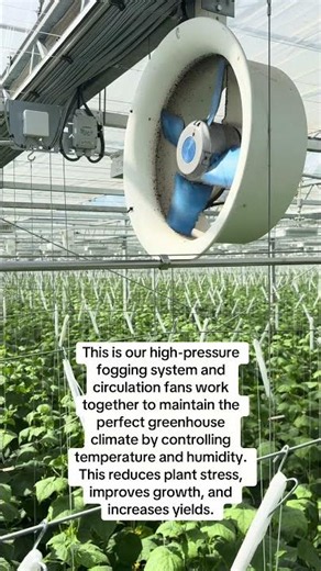 This is how we control temperature in an advanced greenhouse