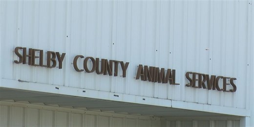 Shelby Humane encouraging pet vaccines, microchipping