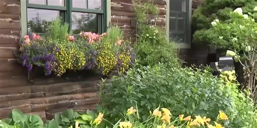 In the Garden: Colorful flowers for window boxes and pots