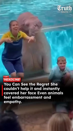 Truth Route News on Instagram: "A video circulating on social media shows a child sitting near a walrus enclosure, reportedly posing for a photo, when water suddenly splashes from the tank and drenches the child. In the clip, the walrus can be seen reacting moments later by covering its face with its flippers, which many viewers interpreted as a sign of surprise or discomfort. The exact location and circumstances of the incident have not been officially confirmed. The video has sparked emotional