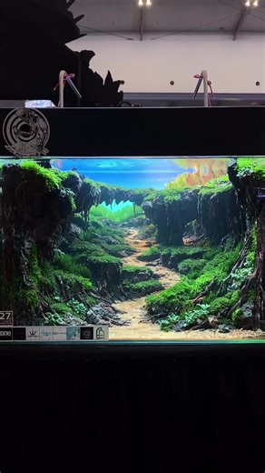 Diorama Aquascape Ideas and Inspiration
