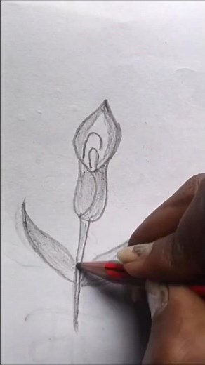 Flower Artist Editing Work #art #artist #drawing