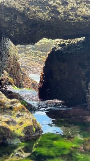 Breathtaking Azores Ocean View Through a Natural Rock Window | 4K Scenic Relaxation #Azores