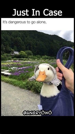 Take Babushka With You #voiceover #meme #funny #duck #babushka